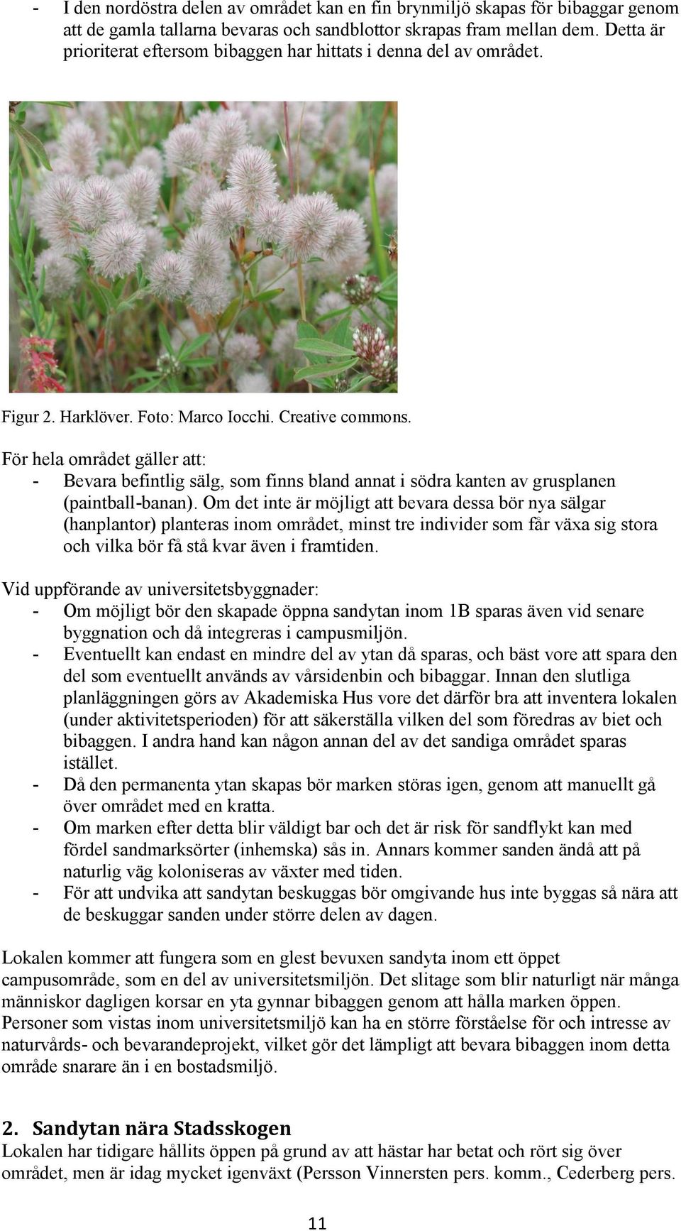 För hela området gäller att: - Bevara befintlig sälg, som finns bland annat i södra kanten av grusplanen (paintball-banan).