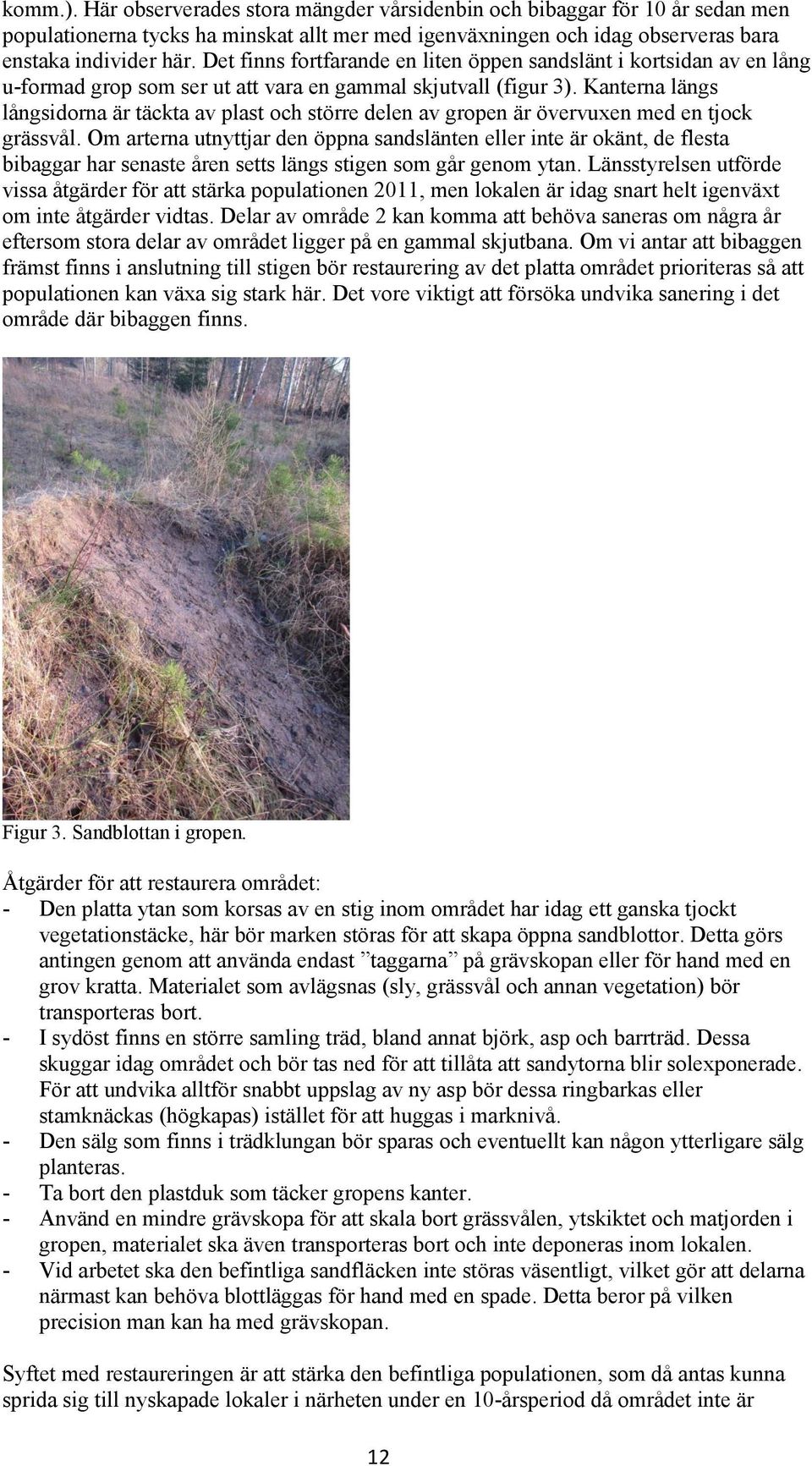 Kanterna längs långsidorna är täckta av plast och större delen av gropen är övervuxen med en tjock grässvål.