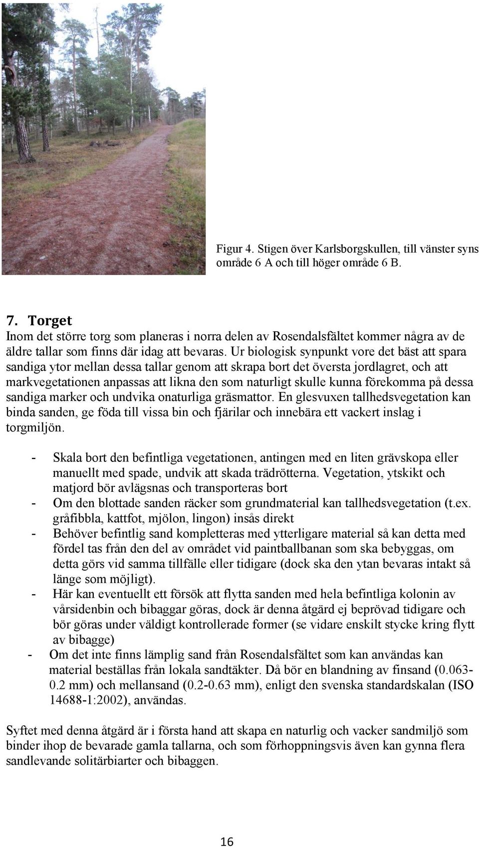 Ur biologisk synpunkt vore det bäst att spara sandiga ytor mellan dessa tallar genom att skrapa bort det översta jordlagret, och att markvegetationen anpassas att likna den som naturligt skulle kunna