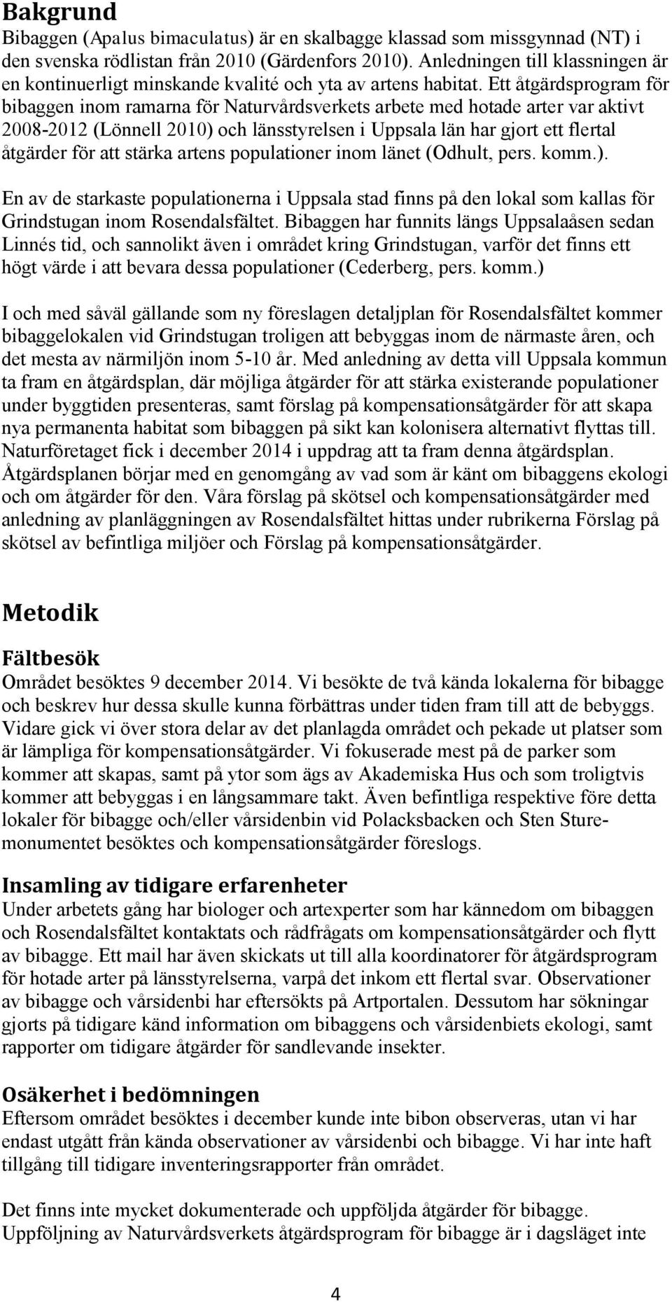 Ett åtgärdsprogram för bibaggen inom ramarna för Naturvårdsverkets arbete med hotade arter var aktivt 2008-2012 (Lönnell 2010) och länsstyrelsen i Uppsala län har gjort ett flertal åtgärder för att