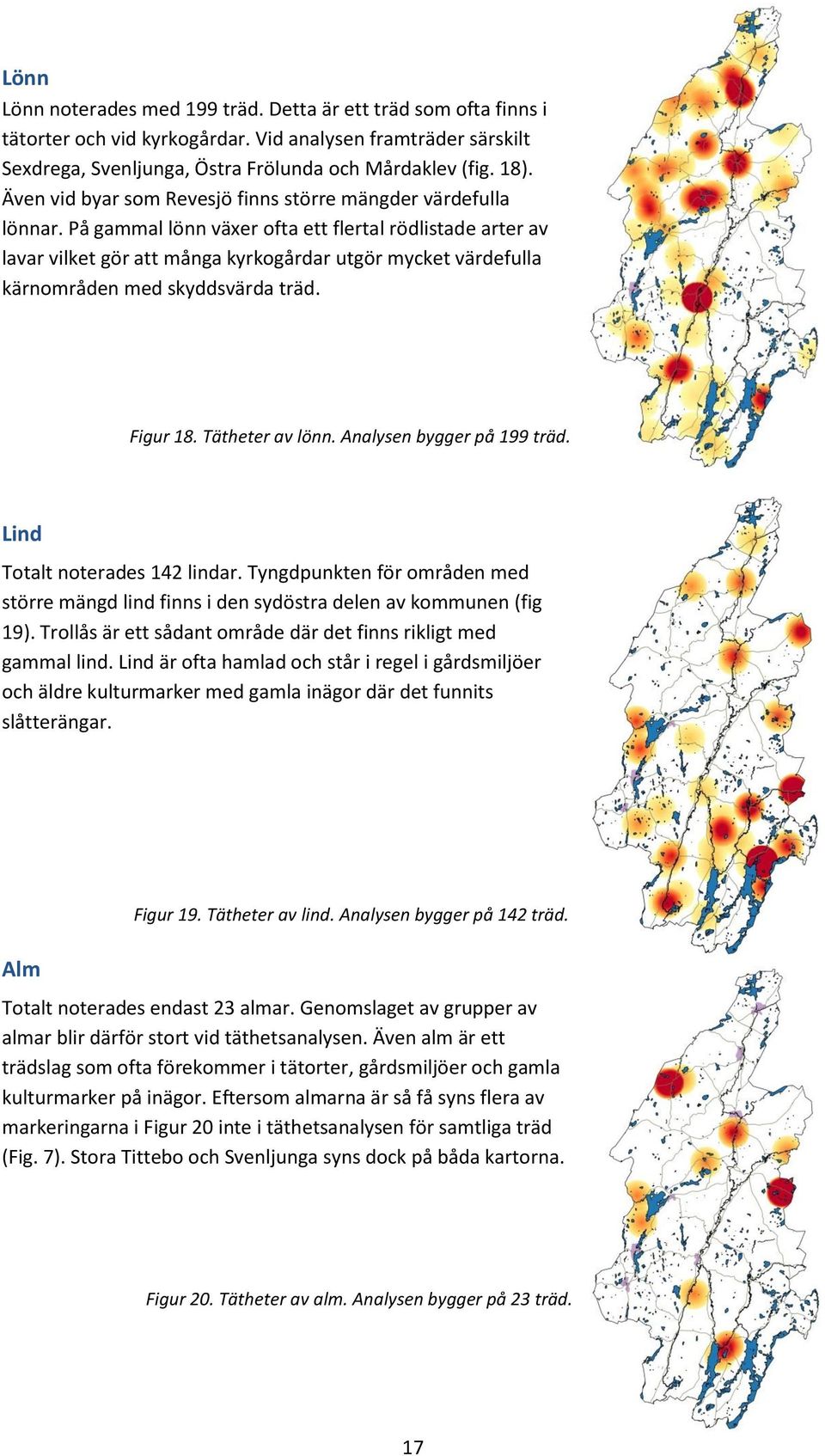 På gammal lönn växer ofta ett flertal rödlistade arter av lavar vilket gör att många kyrkogårdar utgör mycket värdefulla kärnområden med skyddsvärda träd. Figur 18. Tätheter av lönn.