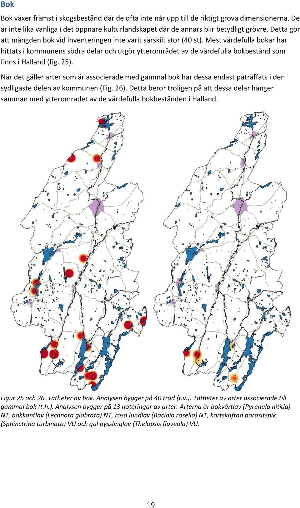 Mest värdefulla bokar har hittats i kommunens södra delar och utgör ytterområdet av de värdefulla bokbestånd som finns i Halland (fig. 25).