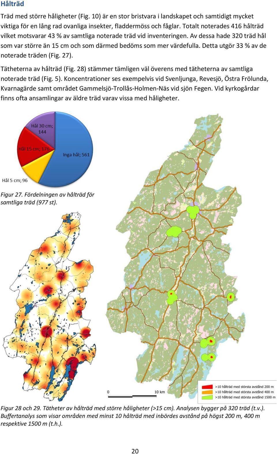 Detta utgör 33 % av de noterade träden (Fig. 27). Tätheterna av hålträd (Fig. 28) stämmer tämligen väl överens med tätheterna av samtliga noterade träd (Fig. 5).