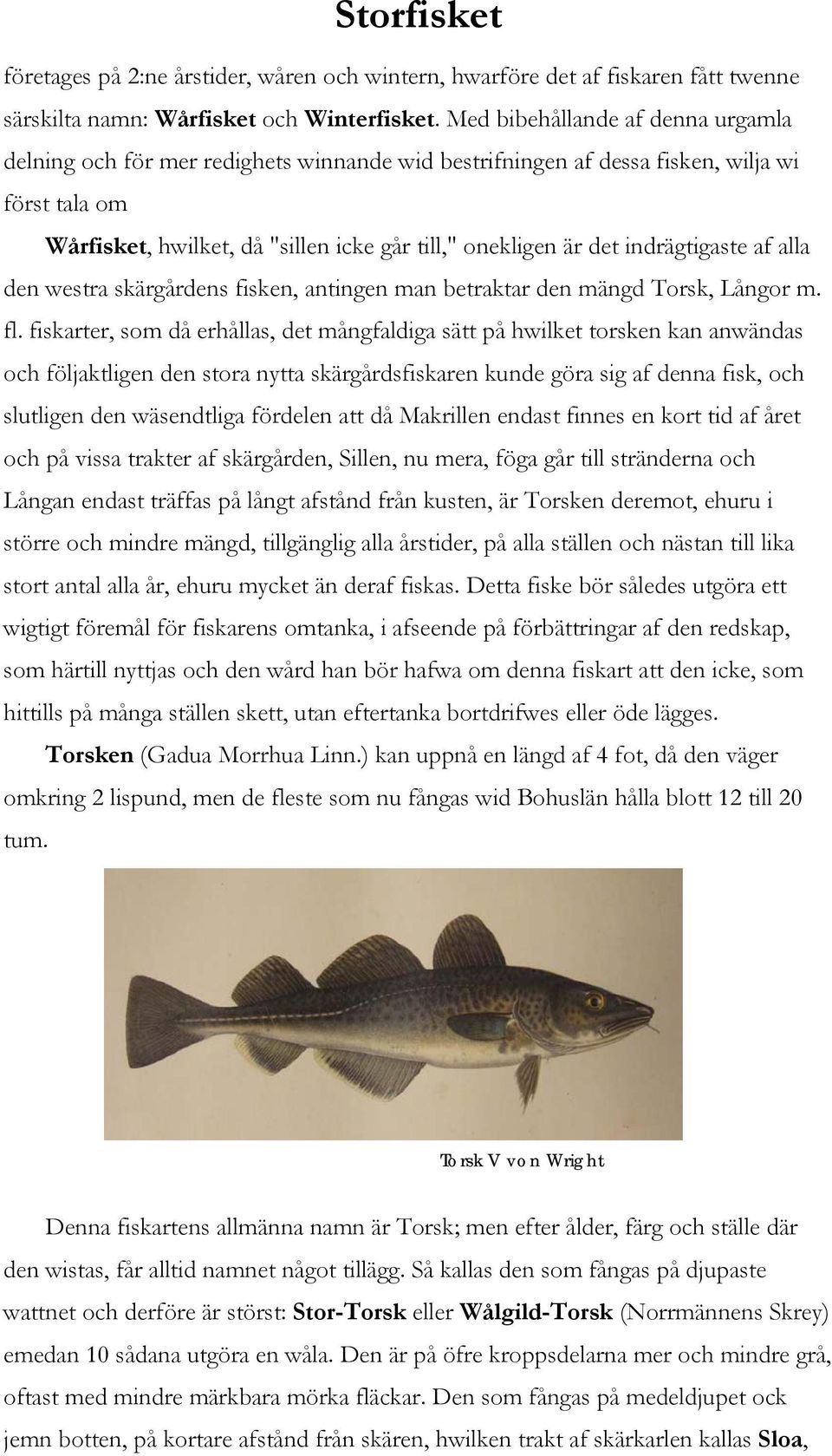 indrägtigaste af alla den westra skärgårdens fisken, antingen man betraktar den mängd Torsk, Långor m. fl.