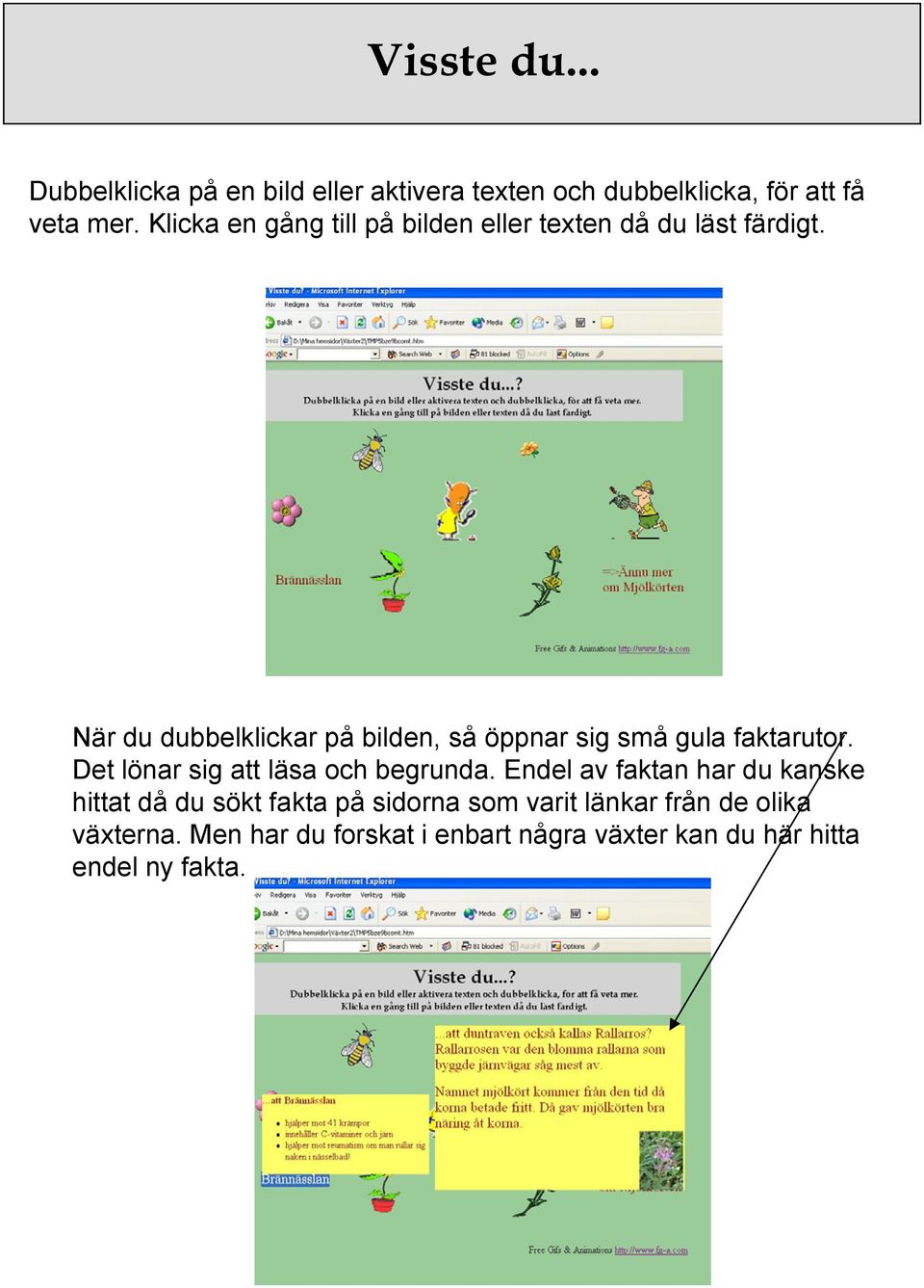 När du dubbelklickar på bilden, så öppnar sig små gula faktarutor. Det lönar sig att läsa och begrunda.