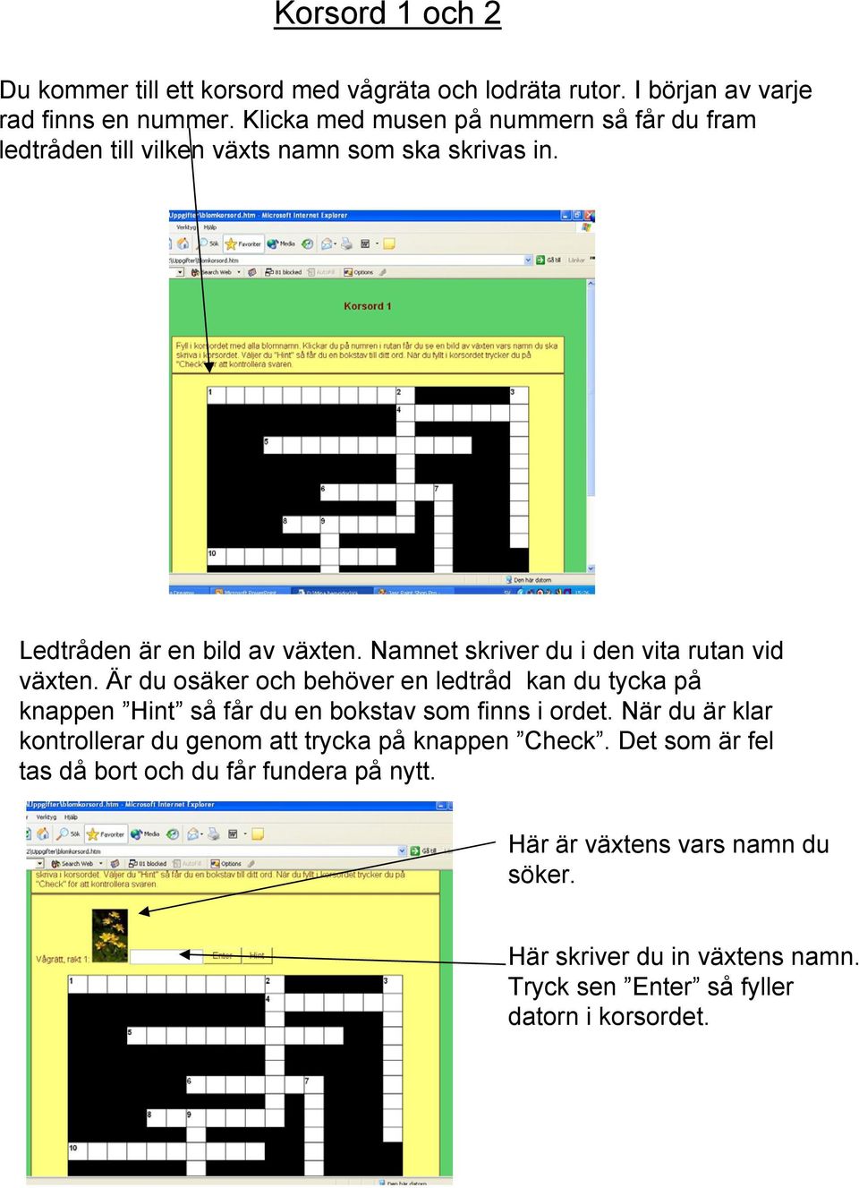 Namnet skriver du i den vita rutan vid växten. Är du osäker och behöver en ledtråd kan du tycka på knappen Hint så får du en bokstav som finns i ordet.