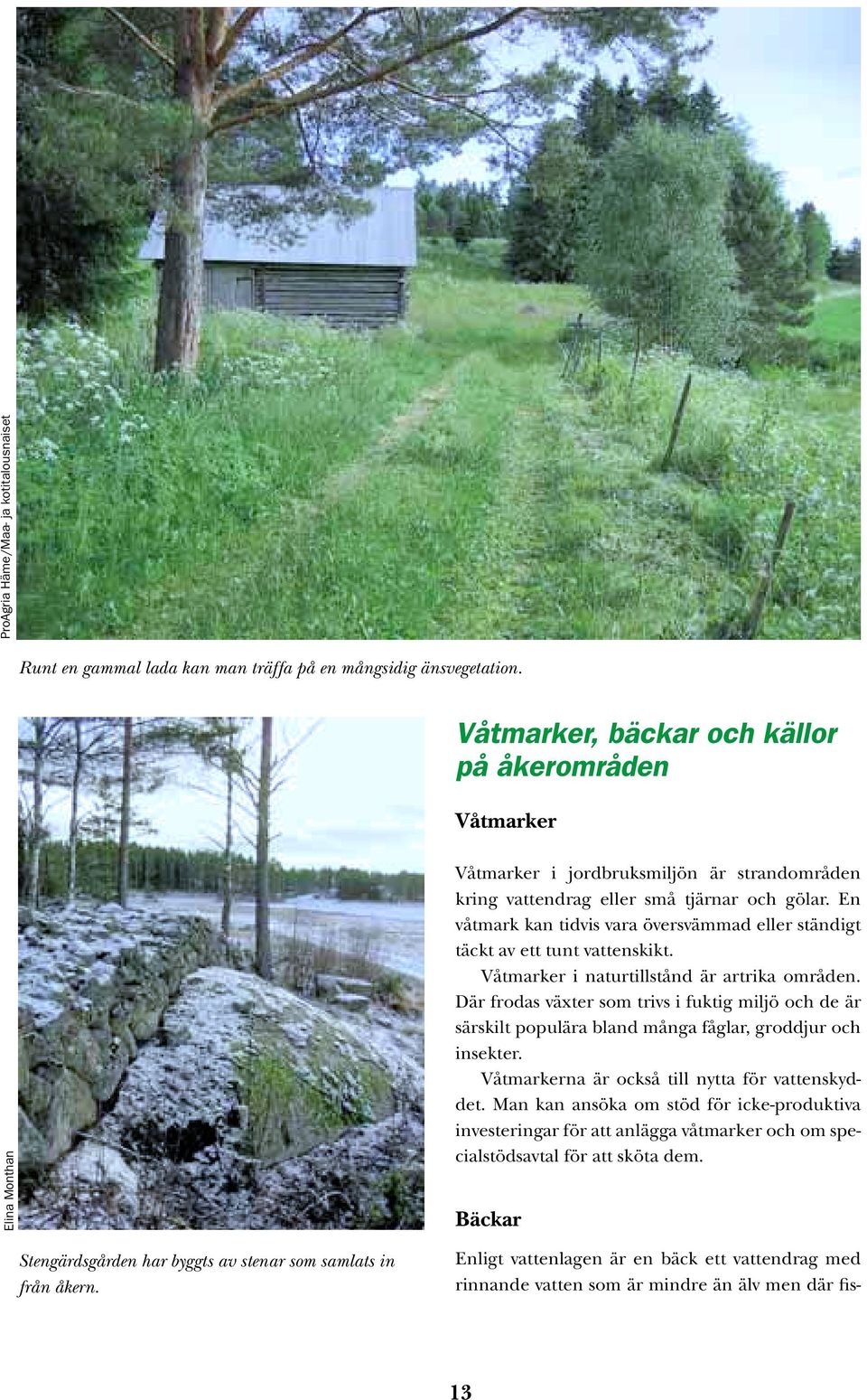 En våtmark kan tidvis vara översvämmad eller ständigt täckt av ett tunt vattenskikt. Våtmarker i naturtillstånd är artrika områden.