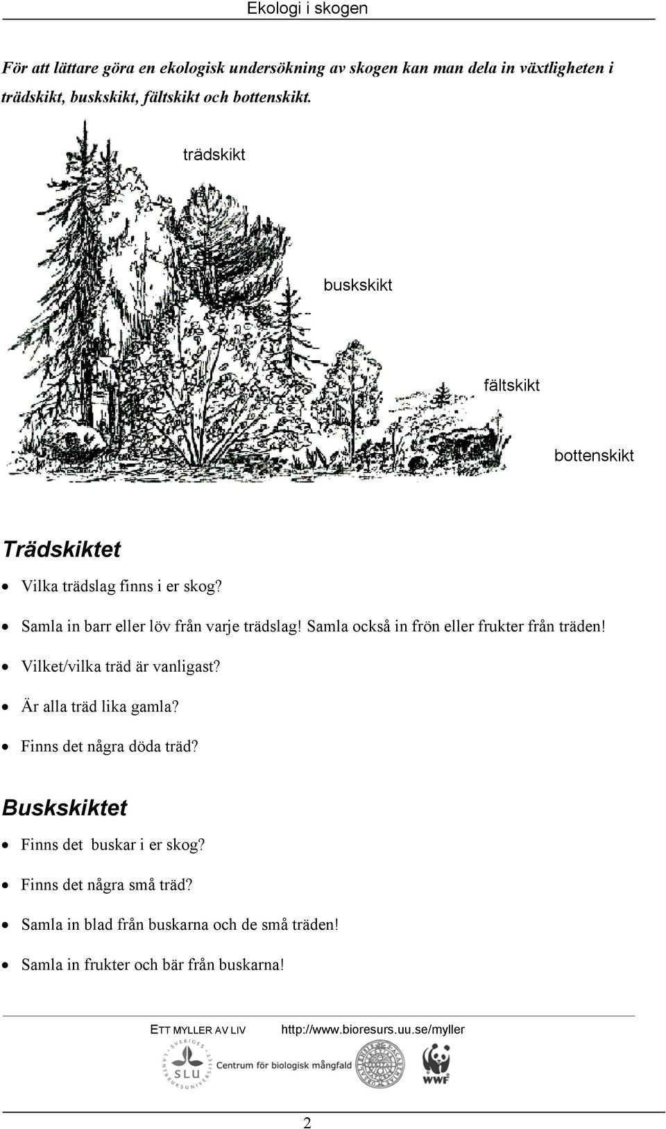 Samla också in frön eller frukter från träden! Vilket/vilka träd är vanligast? Är alla träd lika gamla? Finns det några döda träd?