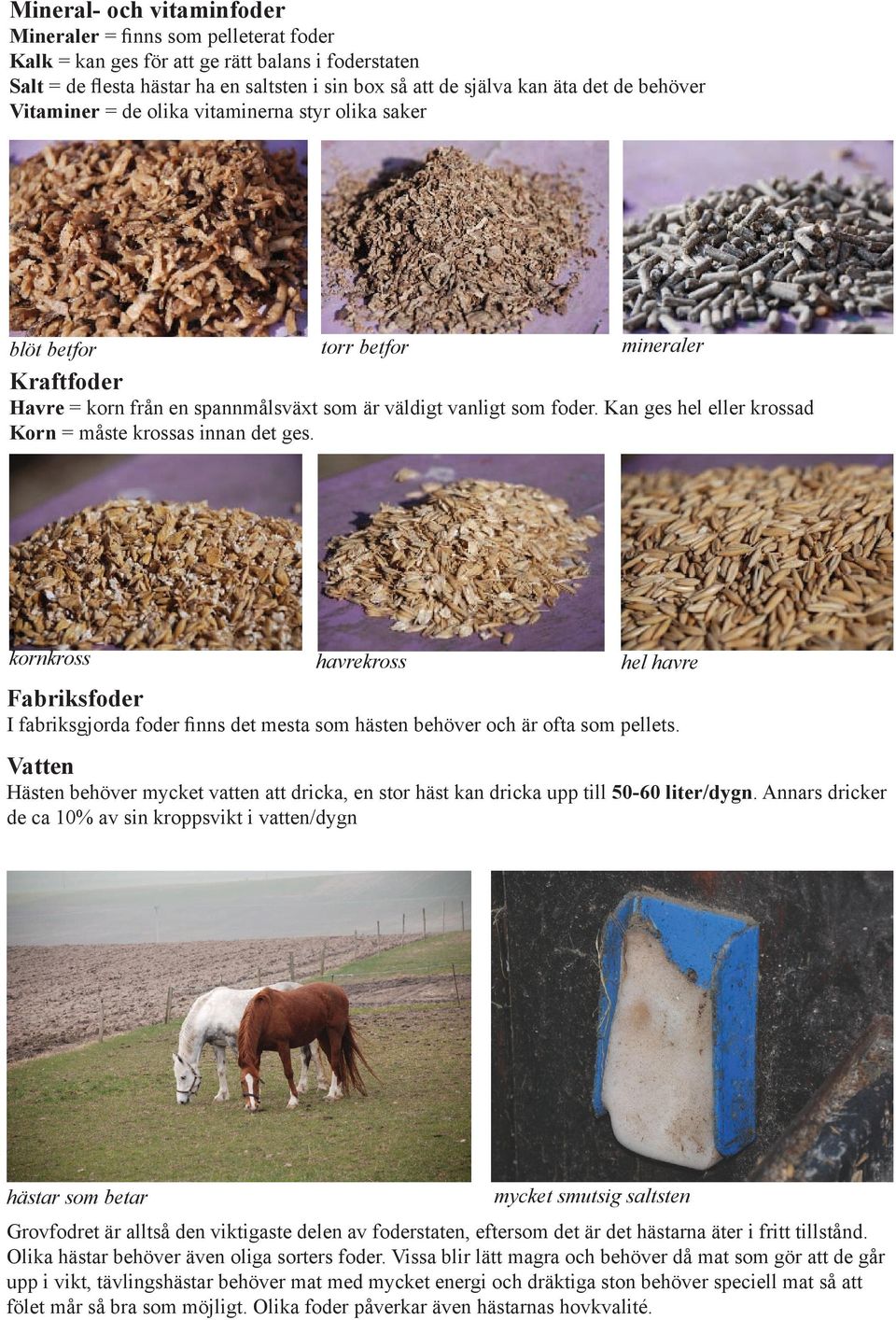 Kan ges hel eller krossad Korn = måste krossas innan det ges. kornkross havrekross hel havre Fabriksfoder I fabriksgjorda foder finns det mesta som hästen behöver och är ofta som pellets.