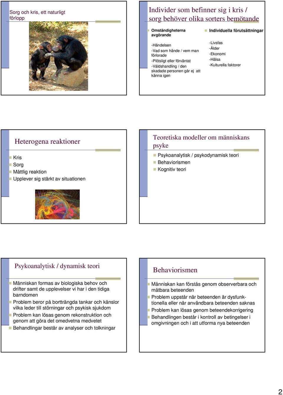 reaktion Upplever sig stärkt av situationen Teoretiska modeller om människans psyke Psykoanalytisk / psykodynamisk teori Behaviorismen Kognitiv teori Psykoanalytisk / dynamisk teori Människan formas