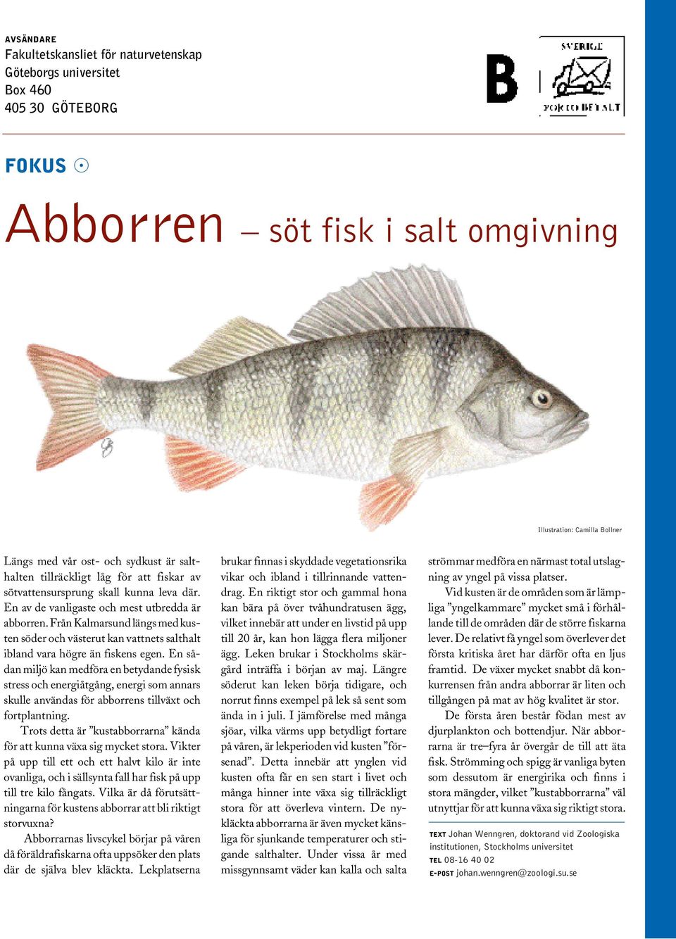 Från Kalmarsund längs med kusten söder och västerut kan vattnets salthalt ibland vara högre än fiskens egen.