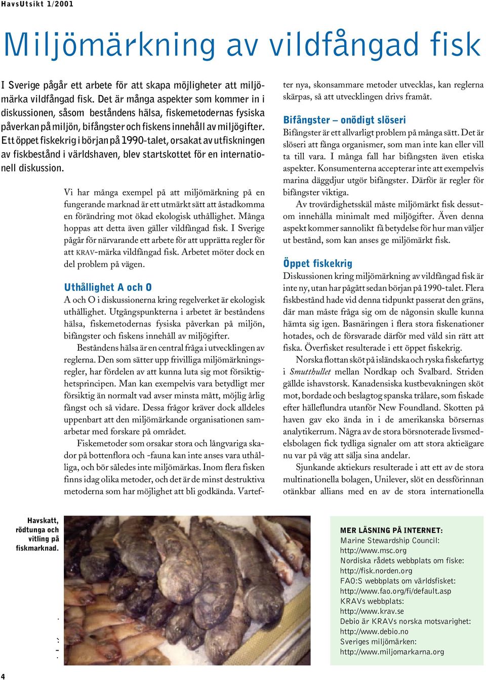 Ett öppet fiskekrig i början på 1990-talet, orsakat av utfiskningen av fiskbestånd i världshaven, blev startskottet för en internationell diskussion.