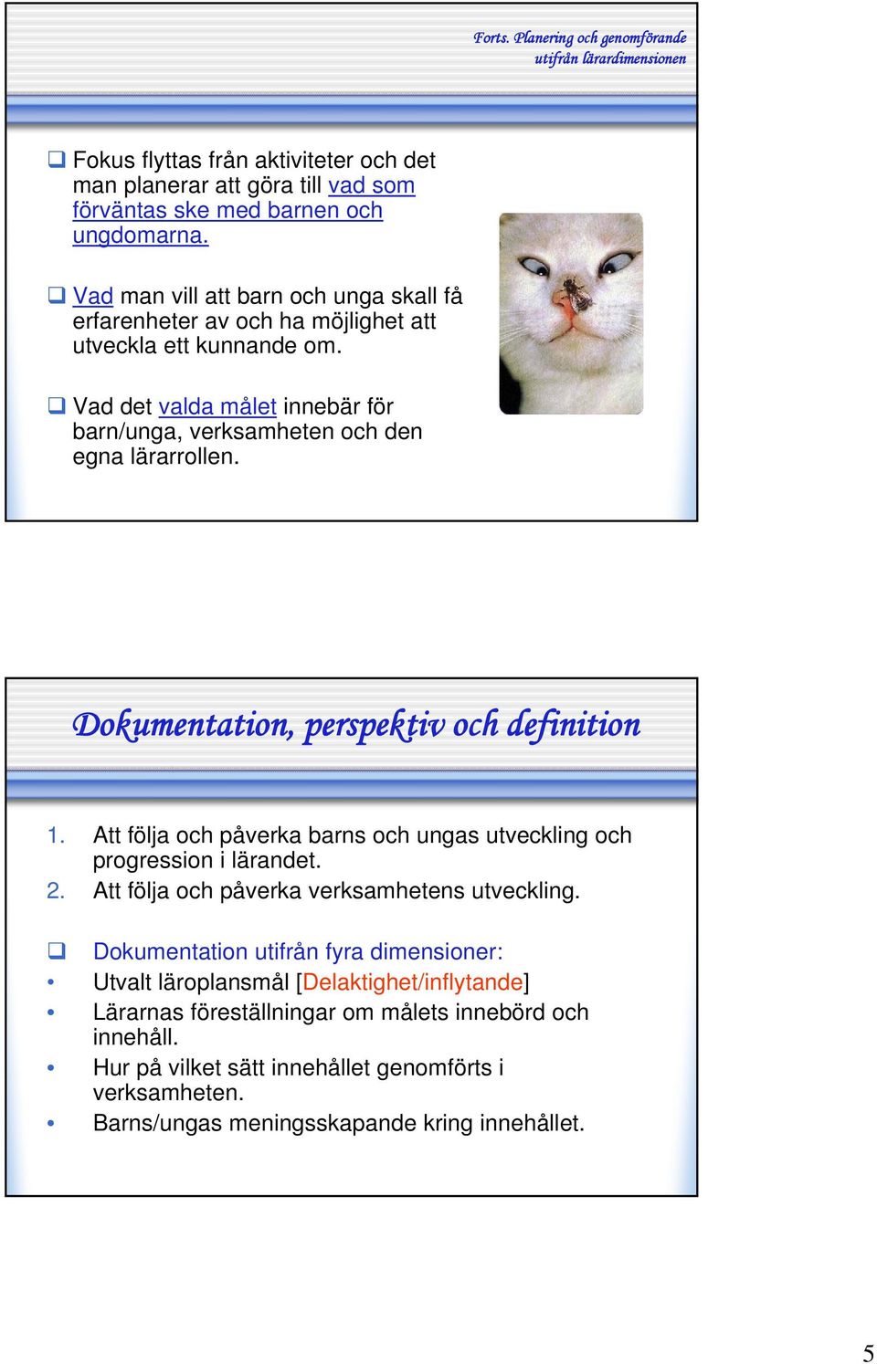 Dokumentation, perspektiv och definition 1. Att följa och påverka barns och ungas utveckling och progression i lärandet. 2. Att följa och påverka verksamhetens utveckling.