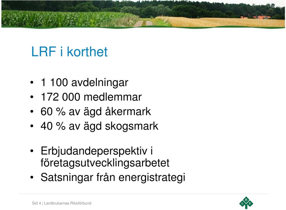 Erbjudandeperspektiv i företagsutvecklingsarbetet