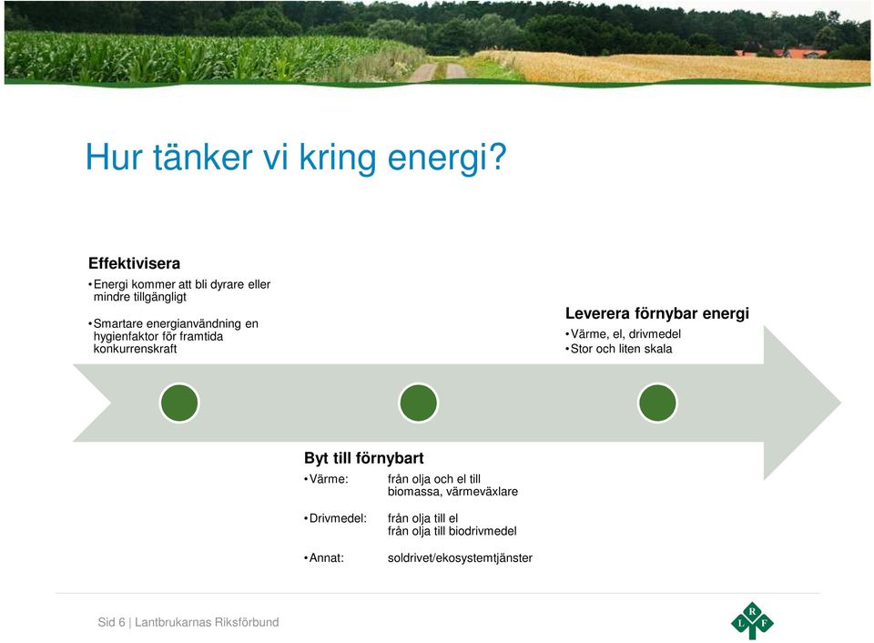 hygienfaktor för framtida konkurrenskraft Leverera förnybar energi Värme, el, drivmedel Stor och liten