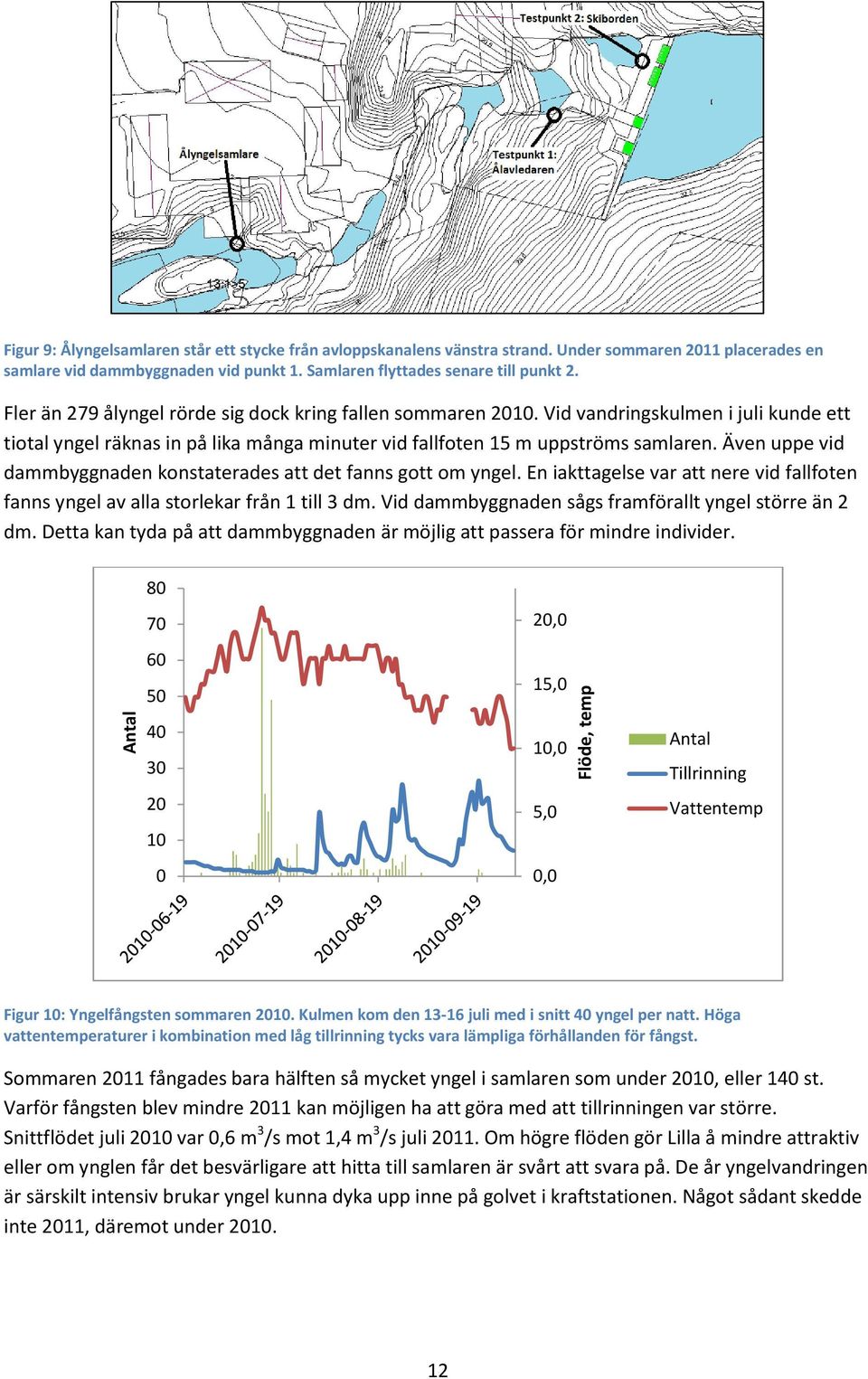 Vid vandringskulmen i juli kunde ett tiotal yngel räknas in på lika många minuter vid fallfoten 15 m uppströms samlaren. Även uppe vid dammbyggnaden konstaterades att det fanns gott om yngel.