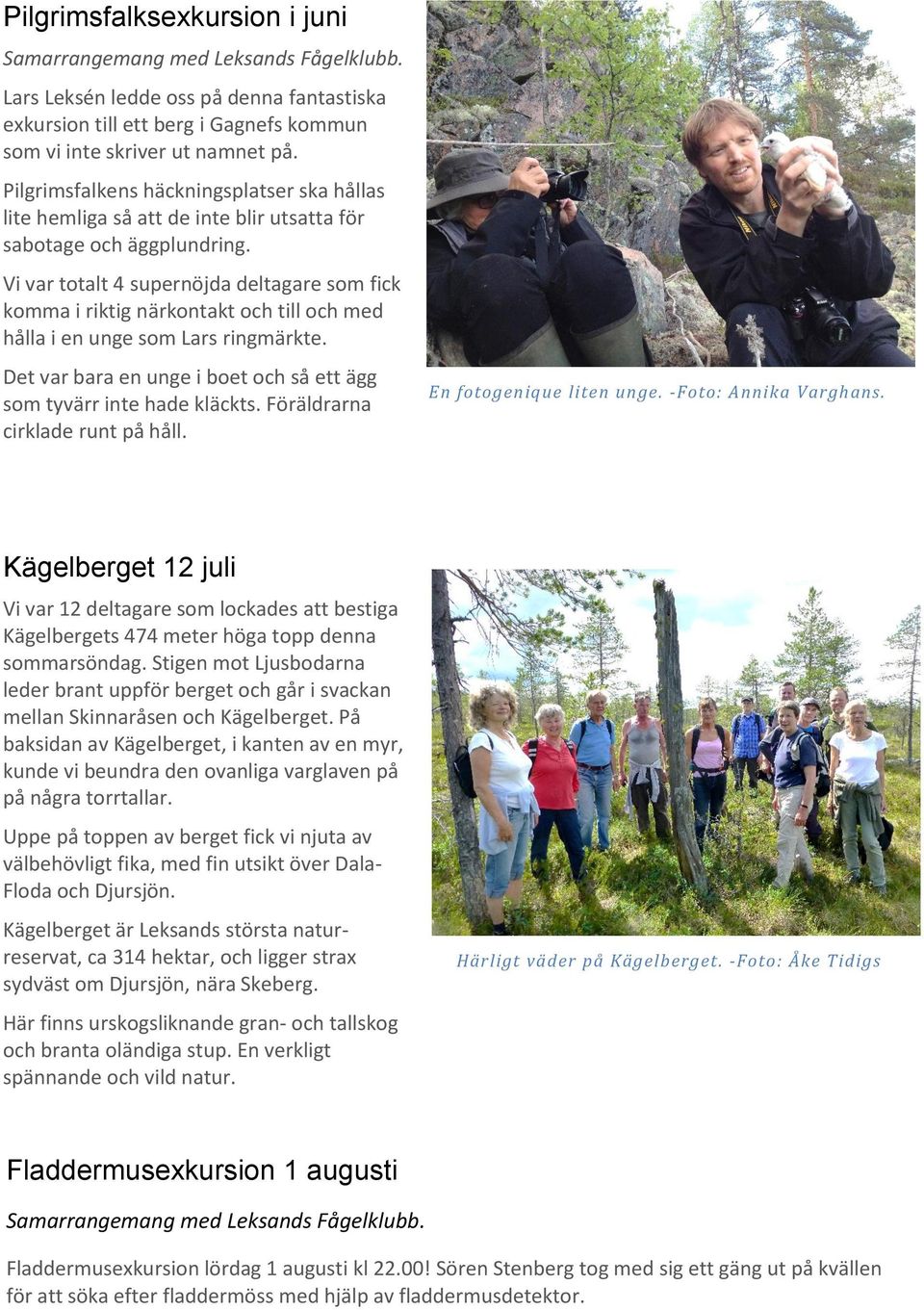 Vi var totalt 4 supernöjda deltagare som fick komma i riktig närkontakt och till och med hålla i en unge som Lars ringmärkte. Det var bara en unge i boet och så ett ägg som tyvärr inte hade kläckts.