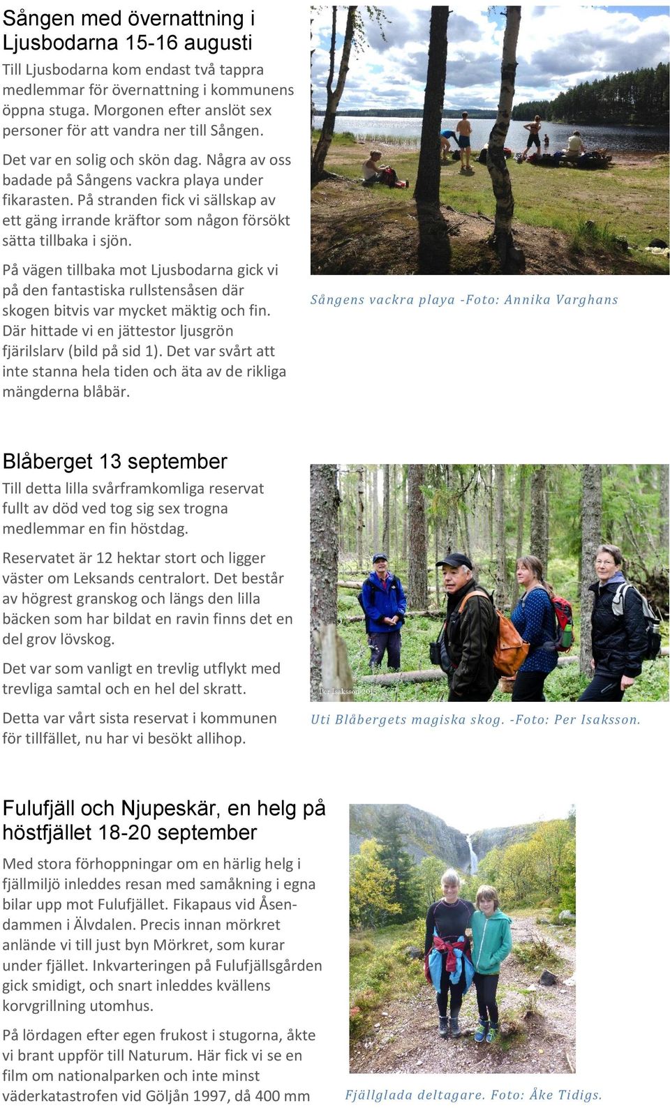 På stranden fick vi sällskap av ett gäng irrande kräftor som någon försökt sätta tillbaka i sjön.