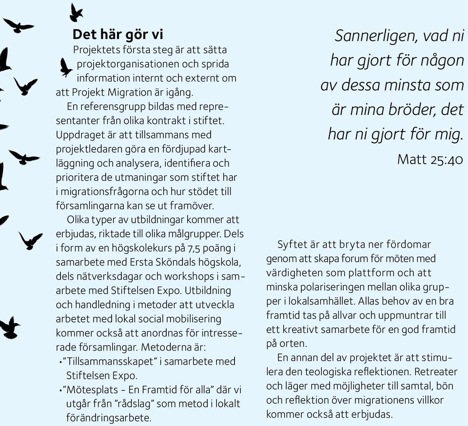 Uppdraget är att tillsammans med projektledaren göra en fördjupad kartläggning och analysera, identifiera och prioritera de utmaningar som stiftet har i migrationsfrågorna och hur stödet till