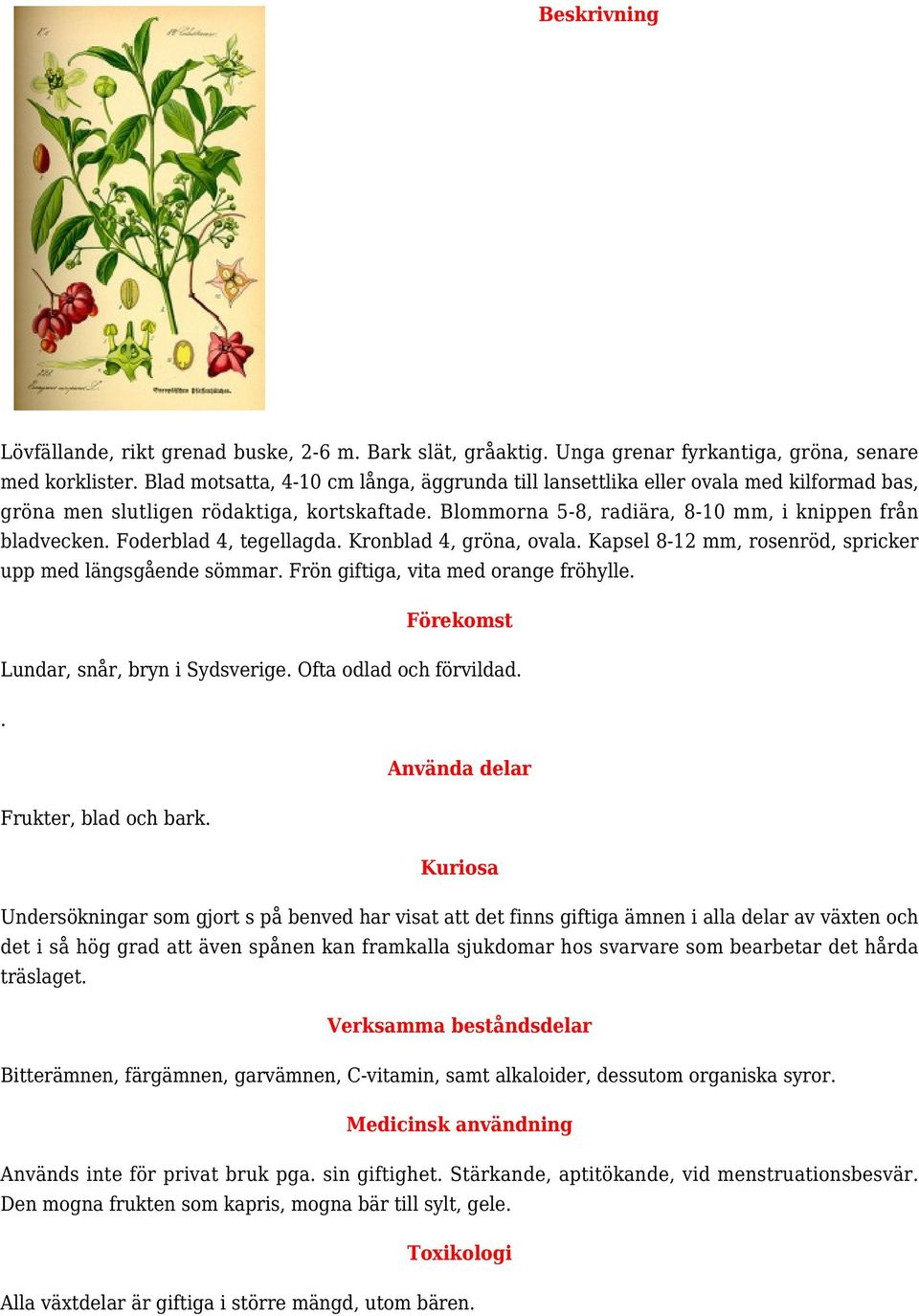 Fderblad 4, tegellagda. Krnblad 4, gröna, vala. Kapsel 8-12 mm, rsenröd, spricker upp med längsgående sömmar. Frön giftiga, vita med range fröhylle. Lundar, snår, bryn i Sydsverige.