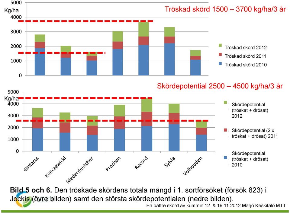 Skördepotential Satopotentiaali (2 x 2 (puitu tröskat 2 x + + drösat) varisseet) 211 Skördepotential 21 (tröskat Satopotentiaali + drösat) (puitu +