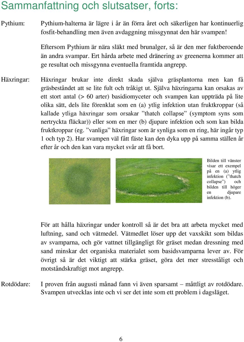 Häxringar: Häxringar brukar inte direkt skada själva gräsplantorna men kan få gräsbeståndet att se lite fult och tråkigt ut.