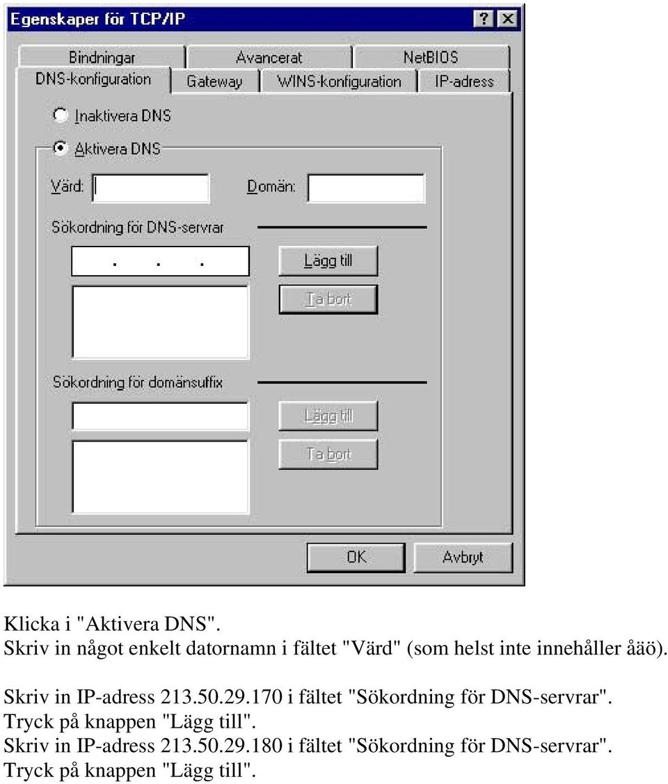 åäö). Skriv in IP-adress 213.50.29.170 i fältet "Sökordning för DNS-servrar".
