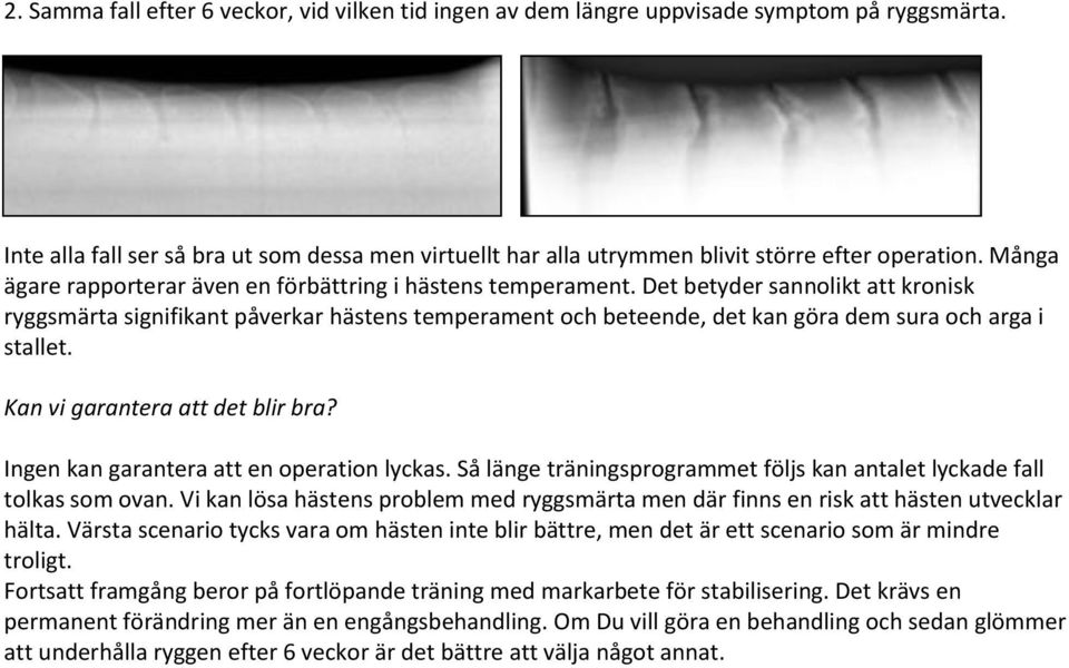 Det betyder sannolikt att kronisk ryggsmärta signifikant påverkar hästens temperament och beteende, det kan göra dem sura och arga i stallet. Kan vi garantera att det blir bra?