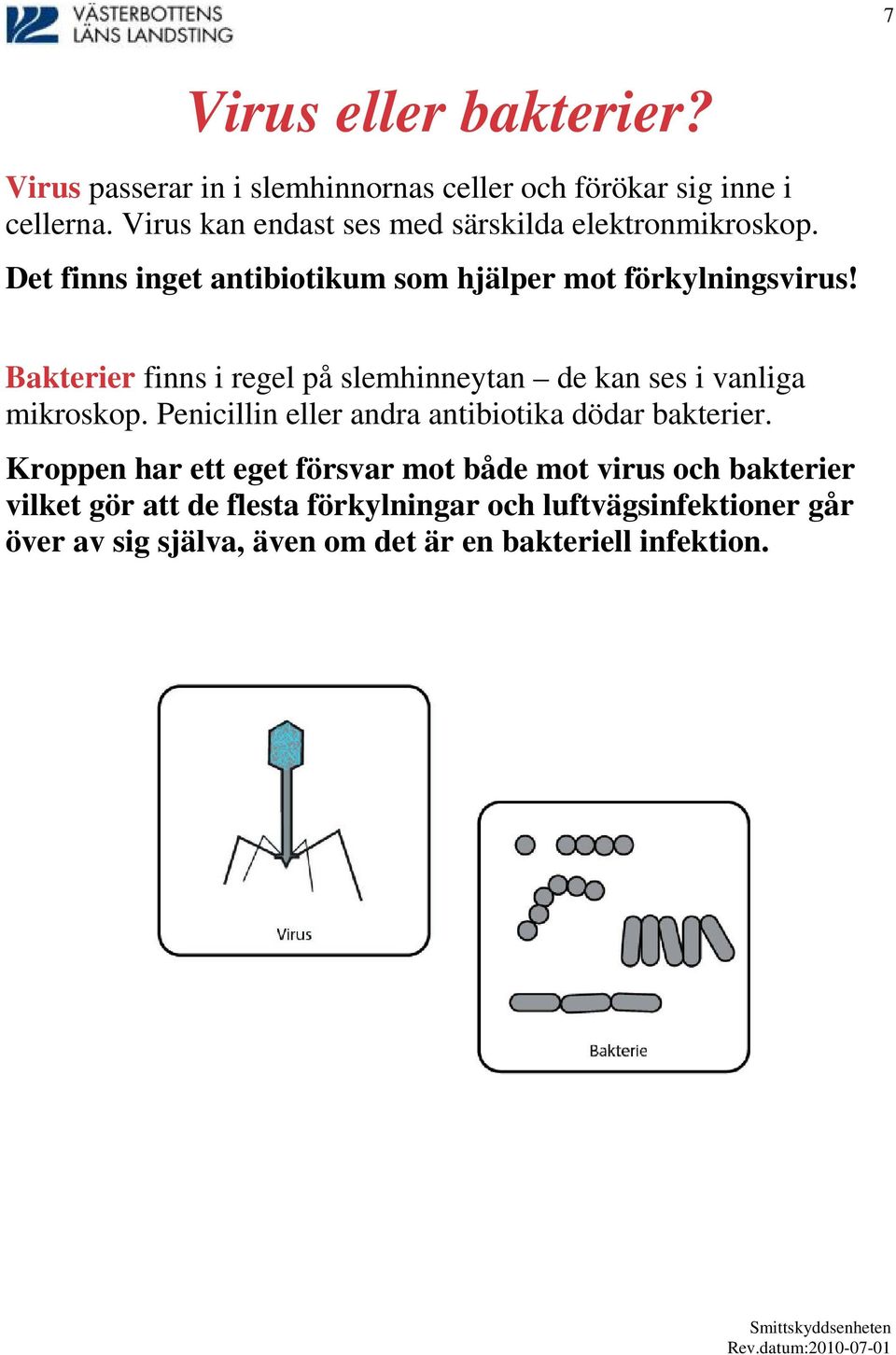 Bakterier finns i regel på slemhinneytan de kan ses i vanliga mikroskop. Penicillin eller andra antibiotika dödar bakterier.