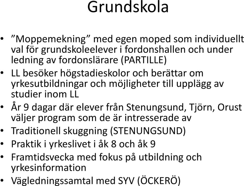 inom LL År 9 dagar där elever från Stenungsund, Tjörn, Orust väljer program som de är intresserade av Traditionell skuggning