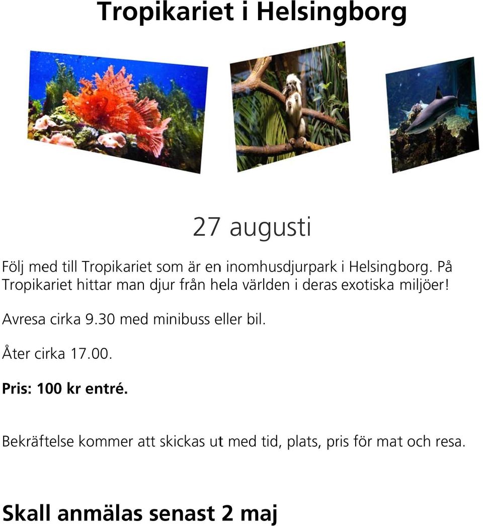 27 augusti Följ med till Tropikariet som är enn inomhusdjurpark i Helsingborg.