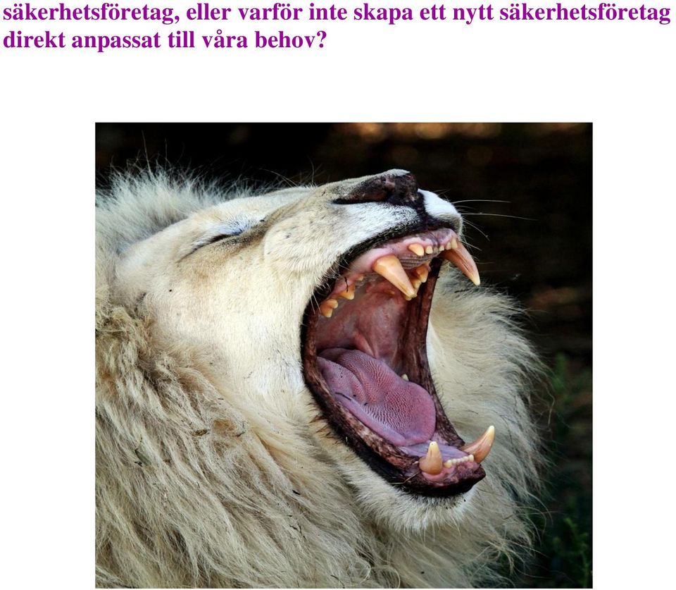 nytt säkerhetsföretag