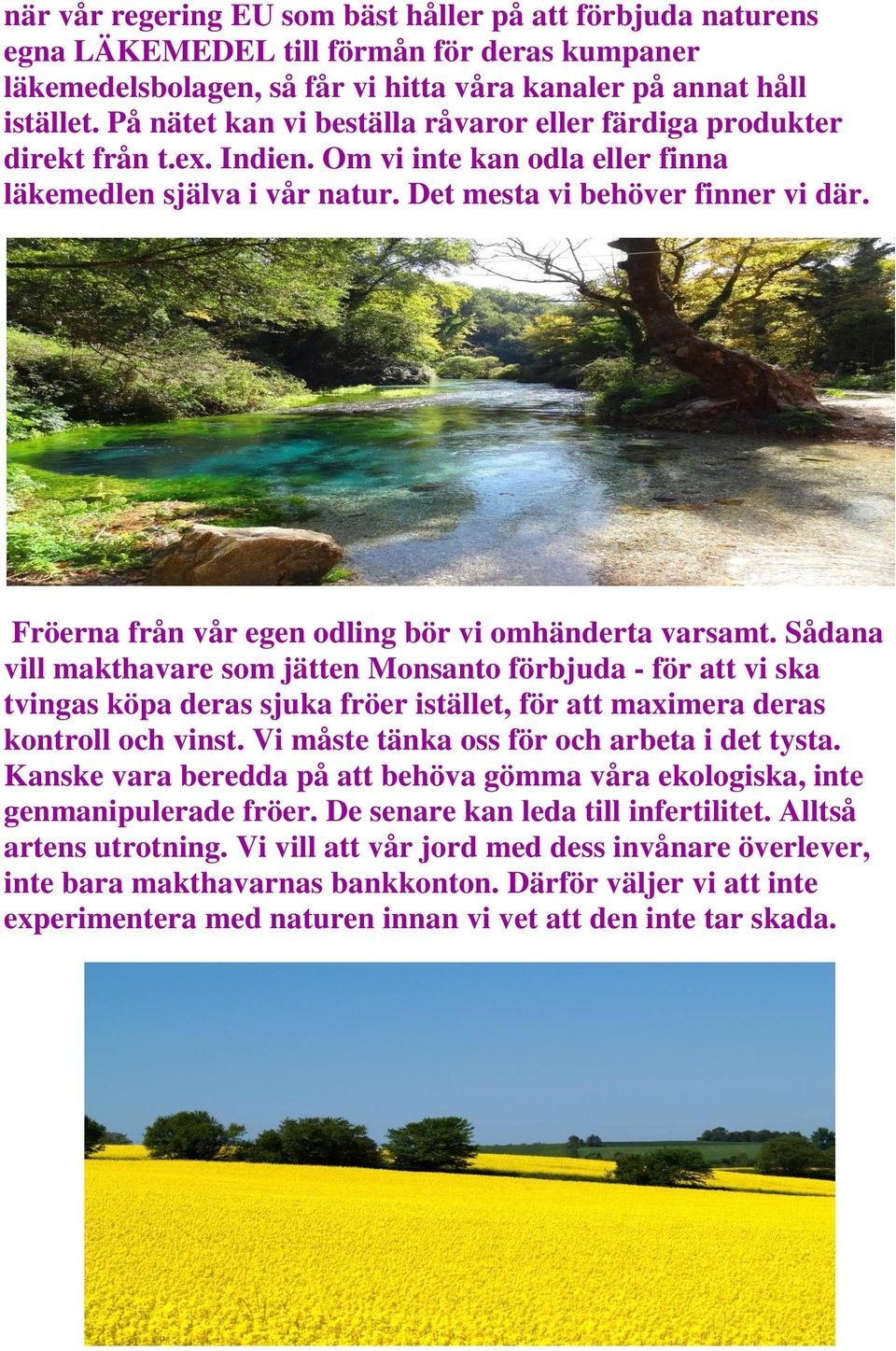 Fröerna från vår egen odling bör vi omhänderta varsamt.