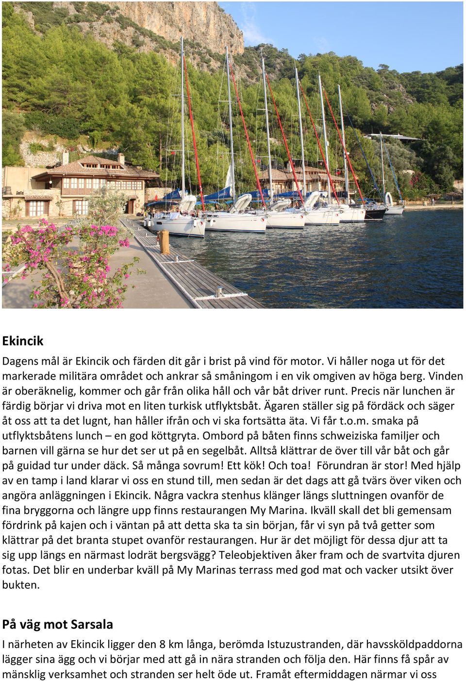 Ägaren ställer sig på fördäck och säger åt oss att ta det lugnt, han håller ifrån och vi ska fortsätta äta. Vi får t.o.m. smaka på utflyktsbåtens lunch en god köttgryta.