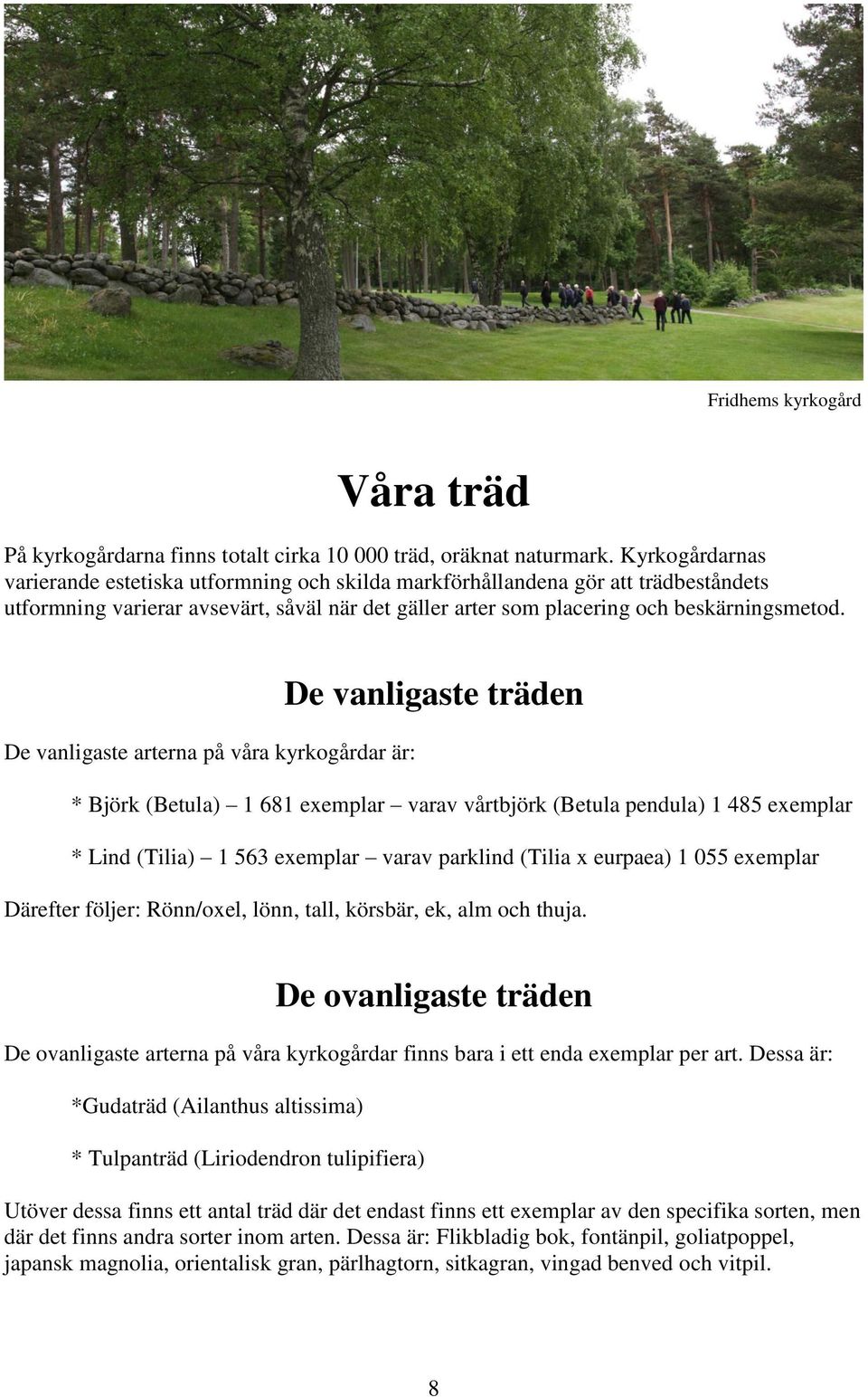 De vanligaste träden De vanligaste arterna på våra kyrkogårdar är: * Björk (Betula) 1 681 exemplar varav vårtbjörk (Betula pendula) 1 485 exemplar * Lind (Tilia) 1 563 exemplar varav parklind (Tilia