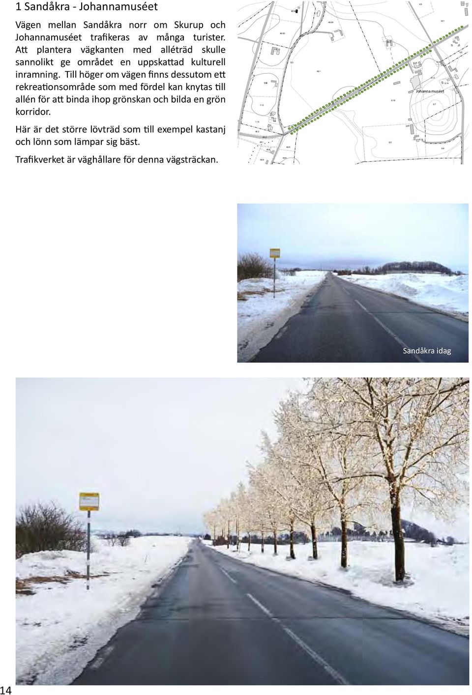 Att plantera vägkanten med alléträd skulle sannolikt ge området en uppskattad kulturell inramning.