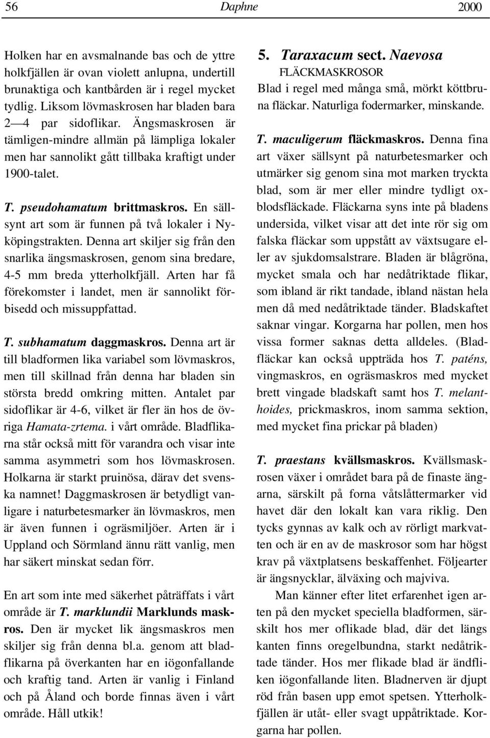 pseudohamatum brittmaskros. En sällsynt art som är funnen på två lokaler i Nyköpingstrakten. Denna art skiljer sig från den snarlika ängsmaskrosen, genom sina bredare, 4-5 mm breda ytterholkfjäll.