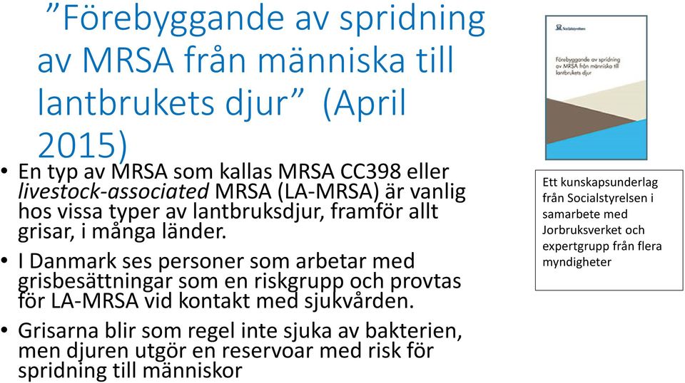 I Danmark ses personer som arbetar med grisbesättningar som en riskgrupp och provtas för LA-MRSA vid kontakt med sjukvården.