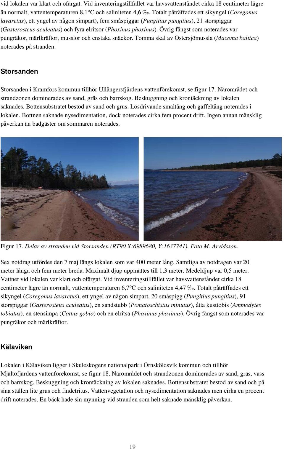 Övrig fångst som noterades var pungräkor, märlkräftor, musslor och enstaka snäckor. Tomma skal av Östersjömussla (Macoma baltica) noterades på stranden.