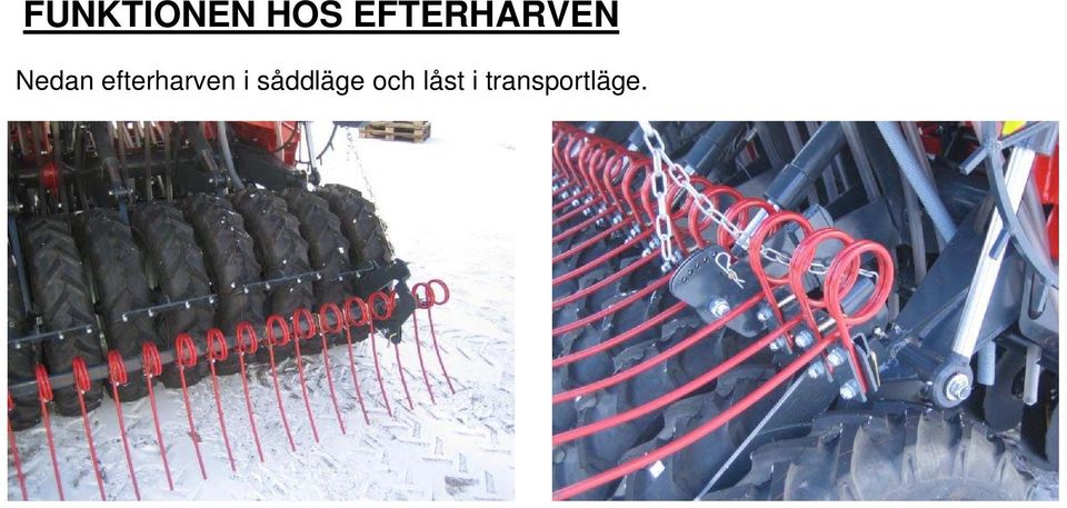 efterharven i