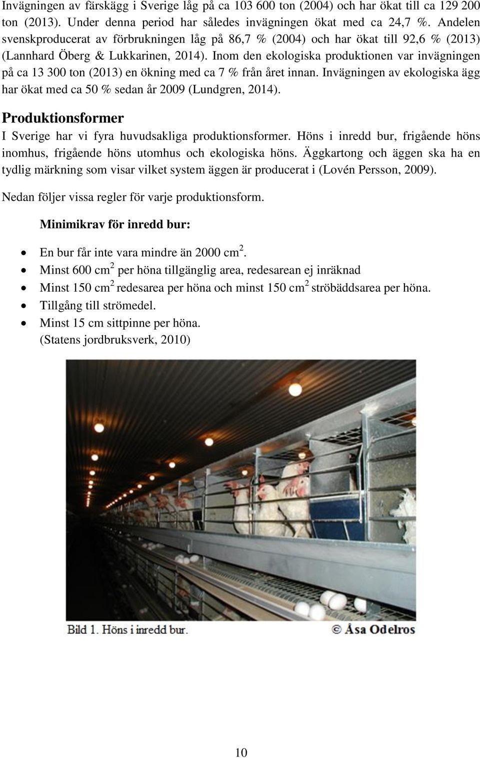 Inom den ekologiska produktionen var invägningen på ca 13 300 ton (2013) en ökning med ca 7 % från året innan. Invägningen av ekologiska ägg har ökat med ca 50 % sedan år 2009 (Lundgren, 2014).