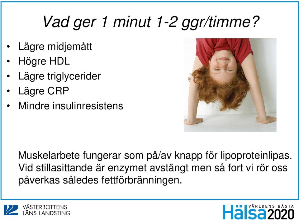 insulinresistens Muskelarbete fungerar som på/av knapp för