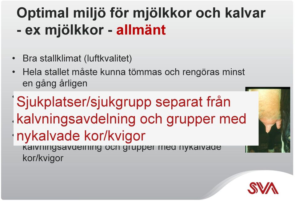 mjölkningstillfällen Sjukplatser/sjukgrupp separat från kalvningsavdelning och grupper med Möjlighet till flexibel