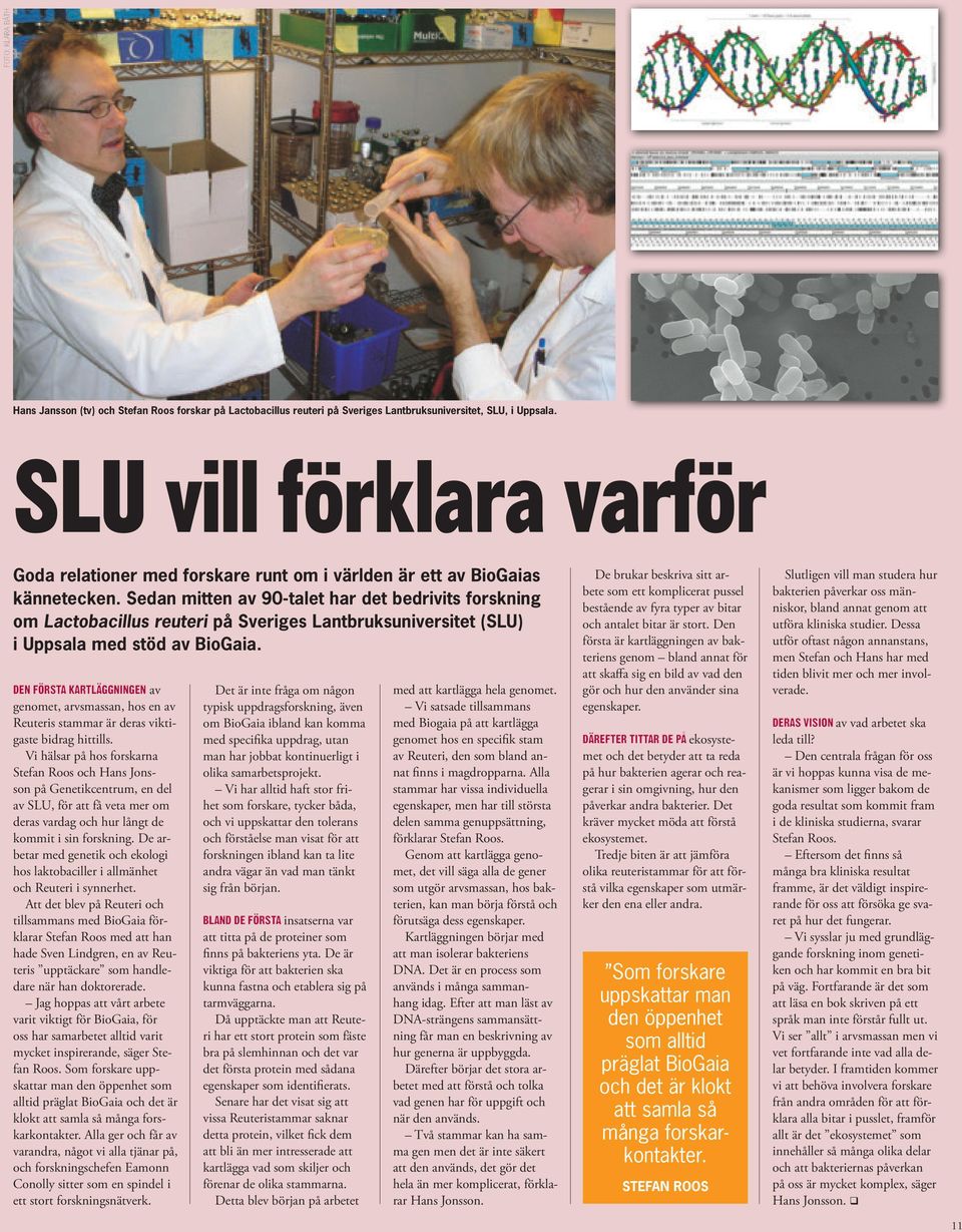sedan mitten av 90-talet har det bedrivits forskning om Lactobacillus reuteri på sveriges Lantbruksuniversitet (slu) i uppsala med stöd av BioGaia.