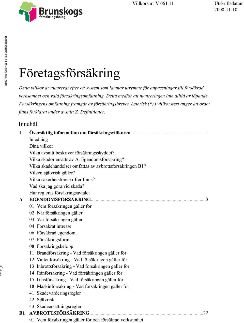 _2 Innehåll I A B1 Översiktlig...1 information om försäkringsvillkoren Inledning Dina villkor Vilka avsnitt beskriver försäkringsskyddet? Vilka skador ersätts av A. Egendomsförsäkring?