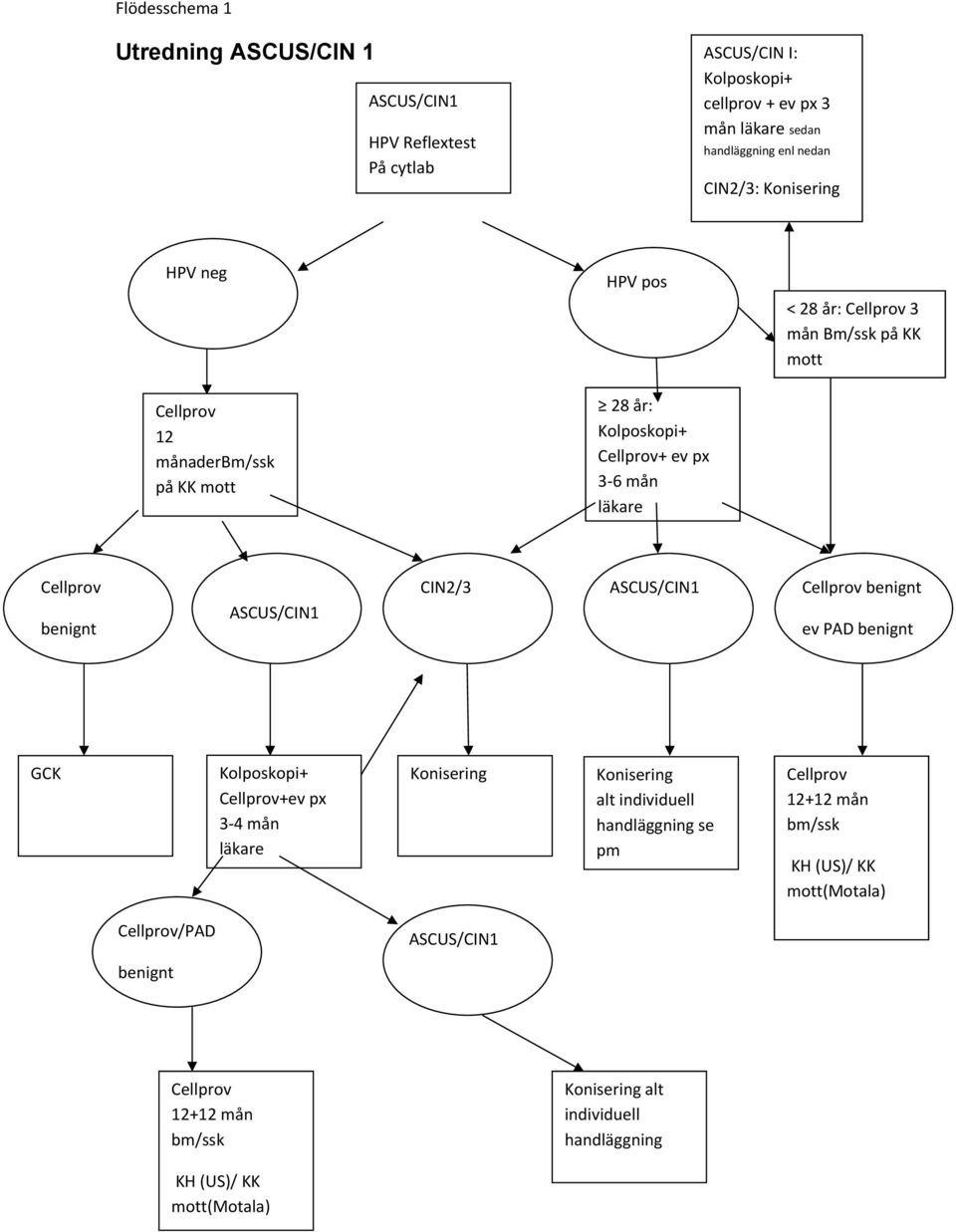 CIN2/3 ASCUS/CIN1 benignt benignt ASCUS/CIN1 ev PAD benignt GCK Kolposkopi+ +ev px 3-4 mån läkare Konisering Konisering alt individuell handläggning