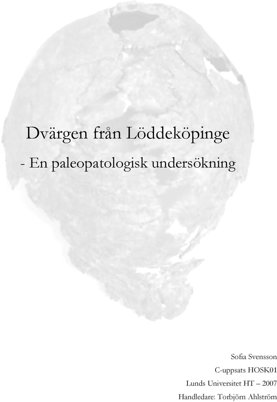 Svensson C-uppsats HOSK01 Lunds