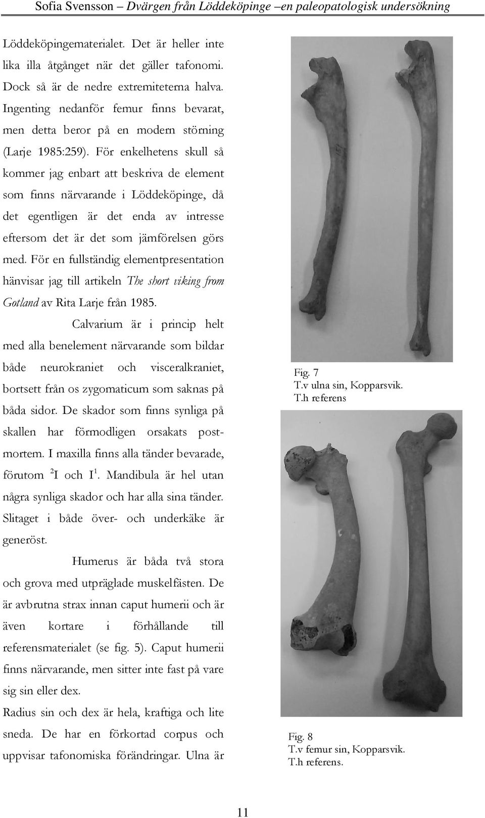 För enkelhetens skull så kommer jag enbart att beskriva de element som finns närvarande i Löddeköpinge, då det egentligen är det enda av intresse eftersom det är det som jämförelsen görs med.