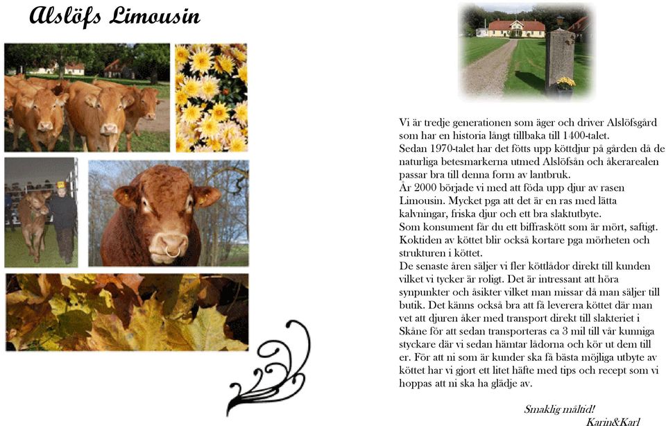 År 2000 började vi med att föda upp djur av rasen Limousin. Mycket pga att det är en ras med lätta kalvningar, friska djur och ett bra slaktutbyte.