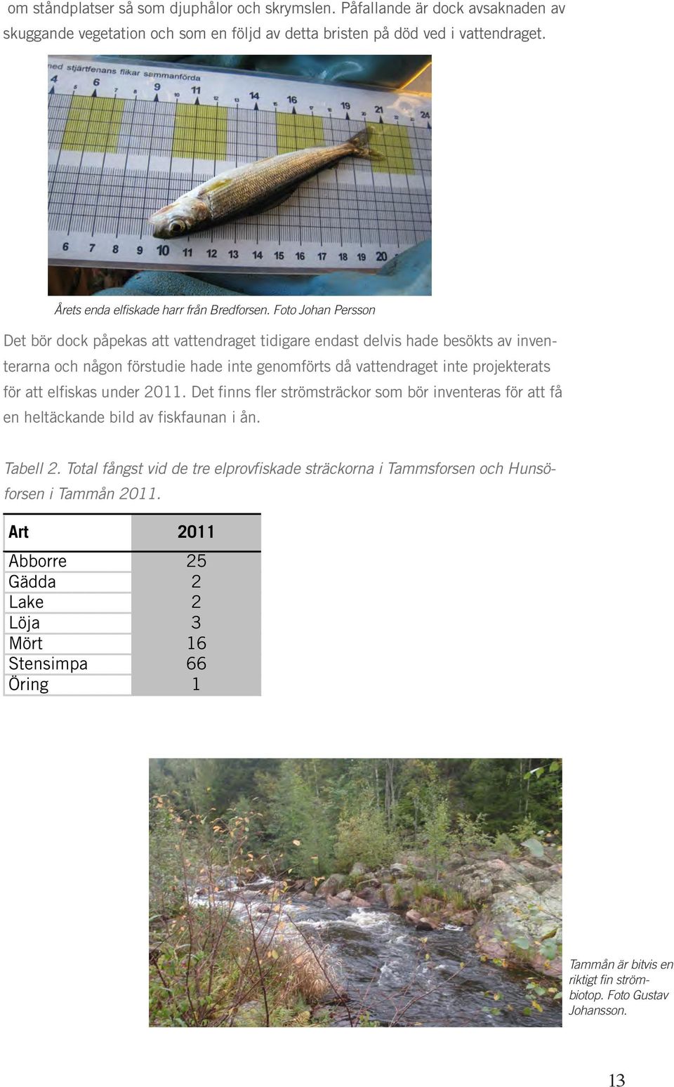 Foto Johan Persson Det bör dock påpekas att vattendraget tidigare endast delvis hade besökts av inventerarna och någon förstudie hade inte genomförts då vattendraget inte projekterats för